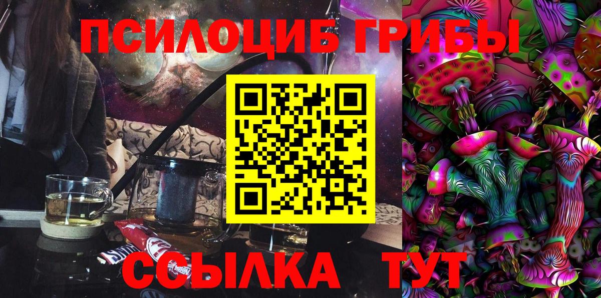 Псилоцибиновые грибы Psilocybine cubensis Сосновый Бор