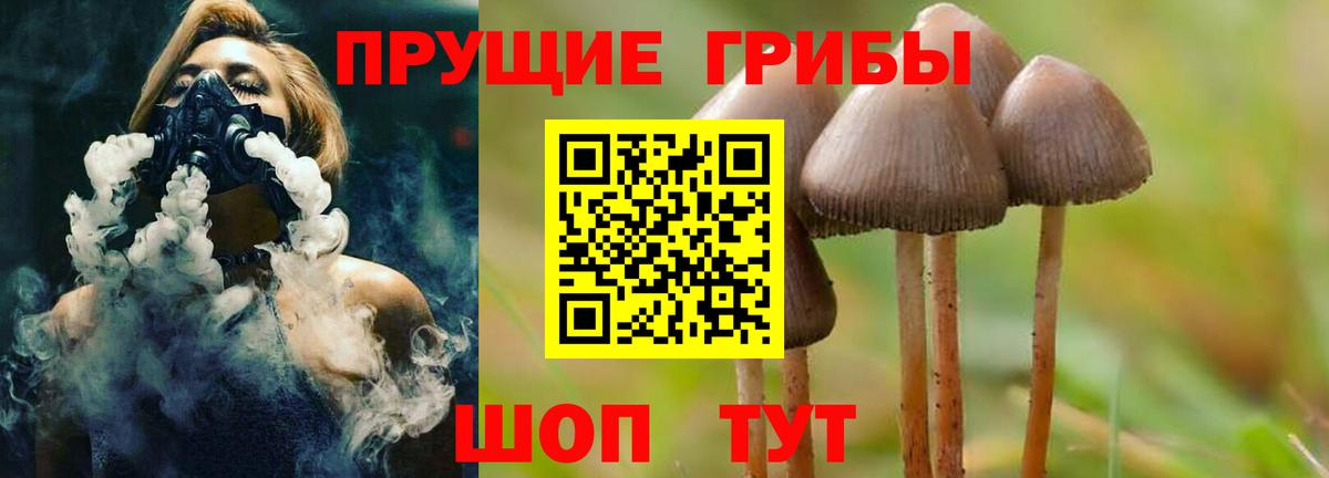 Галлюциногенные грибы Magic Shrooms  Галлюциногенные грибы GOLDEN TEACHER  Сосновый Бор  Вход с VPN 