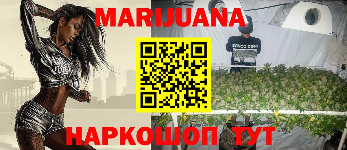 Бошки Шишки гибрид Сосновый Бор